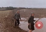 Image of United States 9th Infantry Division South Vietnam, 1967, second 57 stock footage video 65675071840