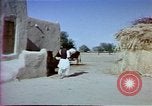 Image of Helmand River Project Afghanistan, 1979, second 16 stock footage video 65675071854
