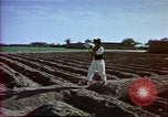 Image of Helmand River Project Afghanistan, 1979, second 19 stock footage video 65675071854