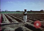 Image of Helmand River Project Afghanistan, 1979, second 20 stock footage video 65675071854