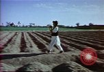Image of Helmand River Project Afghanistan, 1979, second 21 stock footage video 65675071854