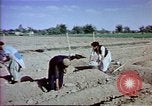 Image of Helmand River Project Afghanistan, 1979, second 29 stock footage video 65675071854