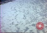Image of Helmand River Project Afghanistan, 1979, second 51 stock footage video 65675071855