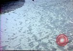 Image of Helmand River Project Afghanistan, 1979, second 53 stock footage video 65675071855