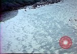 Image of Helmand River Project Afghanistan, 1979, second 55 stock footage video 65675071855