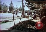 Image of Helmand River Project Afghanistan, 1979, second 47 stock footage video 65675071856