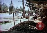 Image of Helmand River Project Afghanistan, 1979, second 48 stock footage video 65675071856