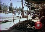 Image of Helmand River Project Afghanistan, 1979, second 49 stock footage video 65675071856