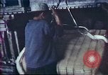 Image of Helmand River Project Afghanistan, 1979, second 45 stock footage video 65675071857