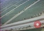 Image of Helmand River Project Afghanistan, 1979, second 30 stock footage video 65675071858