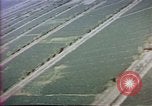 Image of Helmand River Project Afghanistan, 1979, second 32 stock footage video 65675071858