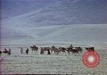 Image of Helmand River Project Afghanistan, 1979, second 55 stock footage video 65675071858