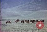 Image of Helmand River Project Afghanistan, 1979, second 58 stock footage video 65675071858
