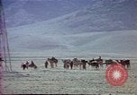 Image of Helmand River Project Afghanistan, 1979, second 59 stock footage video 65675071858