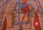 Image of aerobic physical fitness programs United States USA, 1970, second 1 stock footage video 65675071867