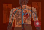 Image of benefits of aerobic exercise United States USA, 1970, second 31 stock footage video 65675071868