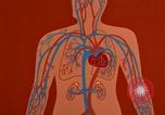 Image of benefits of aerobic exercise United States USA, 1970, second 34 stock footage video 65675071868