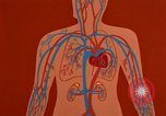 Image of benefits of aerobic exercise United States USA, 1970, second 46 stock footage video 65675071868