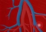 Image of benefits of aerobic exercise United States USA, 1970, second 53 stock footage video 65675071868