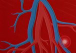 Image of benefits of aerobic exercise United States USA, 1970, second 54 stock footage video 65675071868
