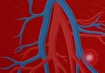 Image of benefits of aerobic exercise United States USA, 1970, second 58 stock footage video 65675071868