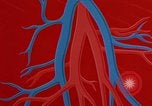 Image of benefits of aerobic exercise United States USA, 1970, second 59 stock footage video 65675071868