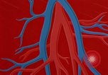 Image of benefits of aerobic exercise United States USA, 1970, second 60 stock footage video 65675071868