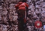 Immagine di Fisica programmi di fitness United States USA, 1970, secondo 35 filmato di repertorio 65675071872