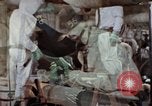 Image of asbestos United States USA, 1980, second 1 stock footage video 65675071894