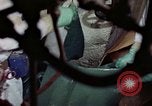 Image of asbestos United States USA, 1980, second 13 stock footage video 65675071894
