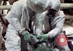 Image of asbestos United States USA, 1980, second 24 stock footage video 65675071894