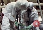 Image of asbestos United States USA, 1980, second 25 stock footage video 65675071894