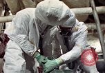 Image of asbestos United States USA, 1980, second 26 stock footage video 65675071894
