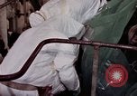 Image of asbestos United States USA, 1980, second 49 stock footage video 65675071894