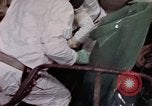 Image of asbestos United States USA, 1980, second 50 stock footage video 65675071894
