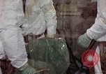 Image of asbestos United States USA, 1980, second 54 stock footage video 65675071894