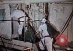 Image of asbestos United States USA, 1980, second 58 stock footage video 65675071894