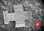 Image of Air evacuation of wounded U.S. troops from Luzon Leyte Philippines, 1945, second 4 stock footage video 65675071951