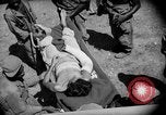 Image of Air evacuation of wounded U.S. troops from Luzon Leyte Philippines, 1945, second 36 stock footage video 65675071951