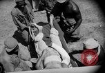 Image of Air evacuation of wounded U.S. troops from Luzon Leyte Philippines, 1945, second 38 stock footage video 65675071951
