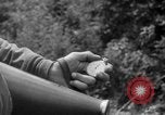 Image of independence celebrations France, 1944, second 23 stock footage video 65675071976
