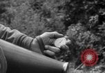Image of independence celebrations France, 1944, second 24 stock footage video 65675071976