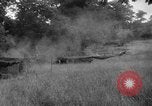 Image of independence celebrations France, 1944, second 29 stock footage video 65675071976