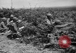 Image of independence celebrations France, 1944, second 49 stock footage video 65675071976
