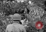 Image of independence celebrations France, 1944, second 51 stock footage video 65675071976