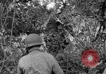 Image of independence celebrations France, 1944, second 52 stock footage video 65675071976