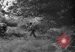 Image of independence celebrations France, 1944, second 54 stock footage video 65675071976