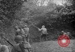 Image of independence celebrations France, 1944, second 60 stock footage video 65675071976