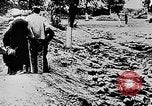 Image of mass burial Ukraine, 1944, second 10 stock footage video 65675071994
