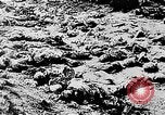 Image of mass burial Ukraine, 1944, second 16 stock footage video 65675071994